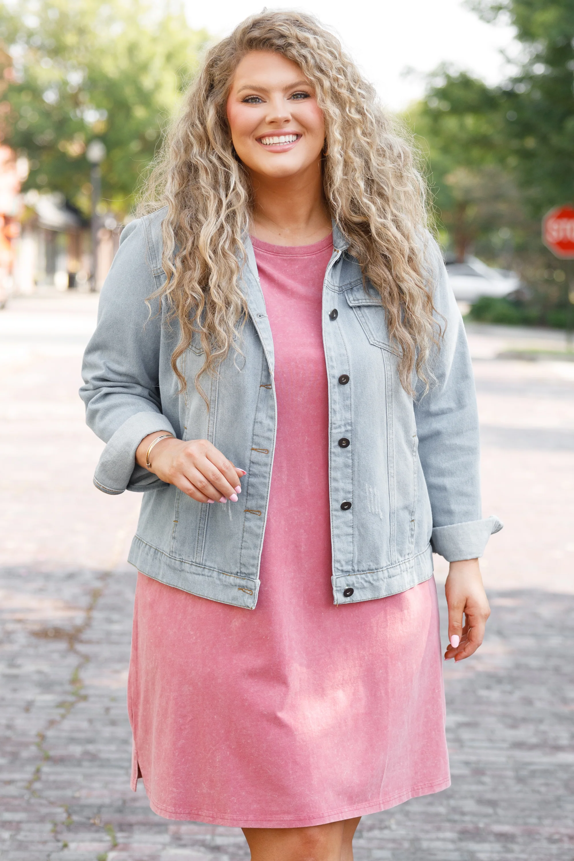 Day Out Dress, Dark Mauve - Weilaico