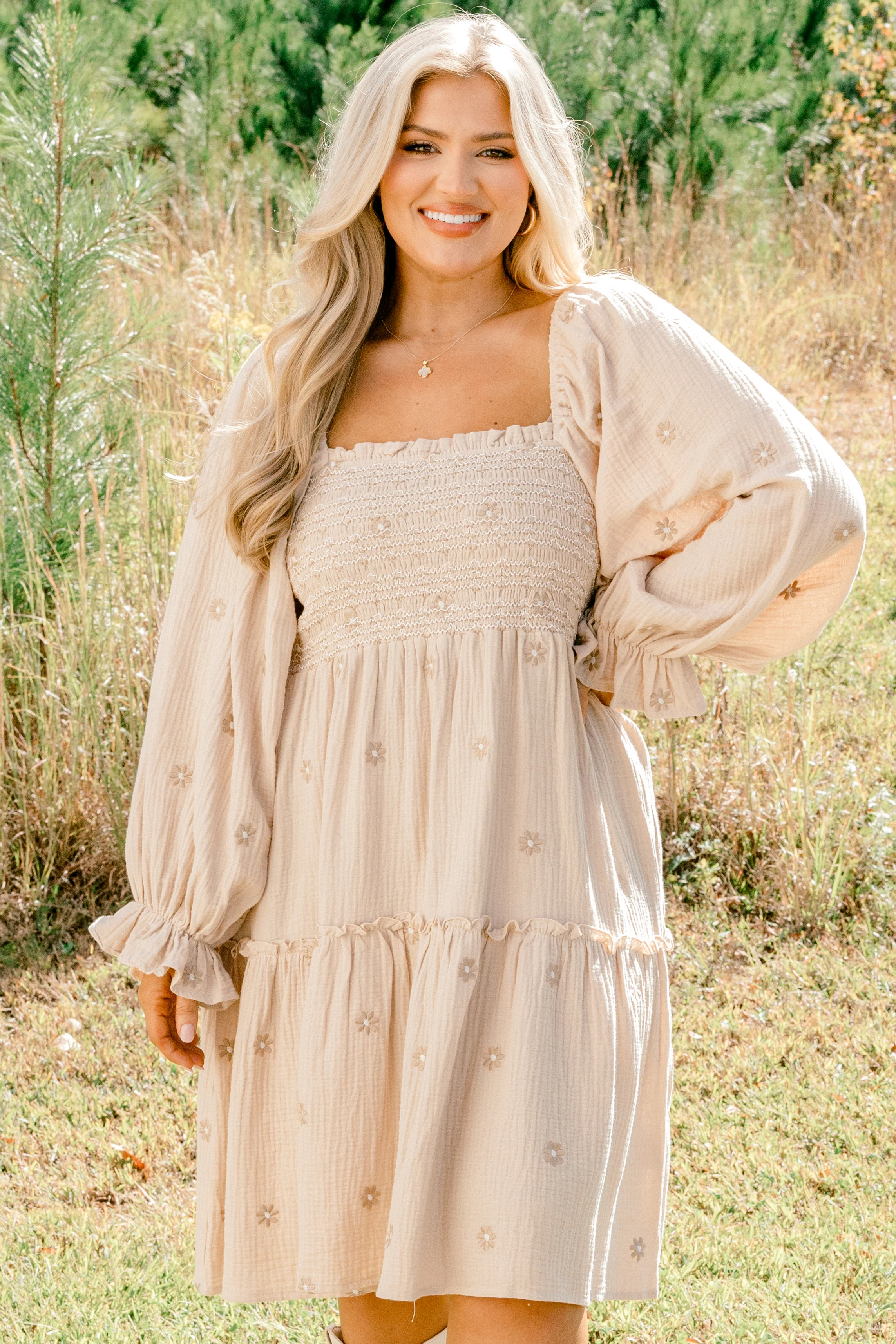Lovely Days Dress, Tan - Weilaico